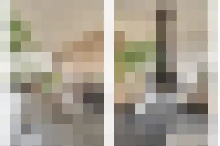 Rooseveltstraat 54 Drunen thumbnail 7