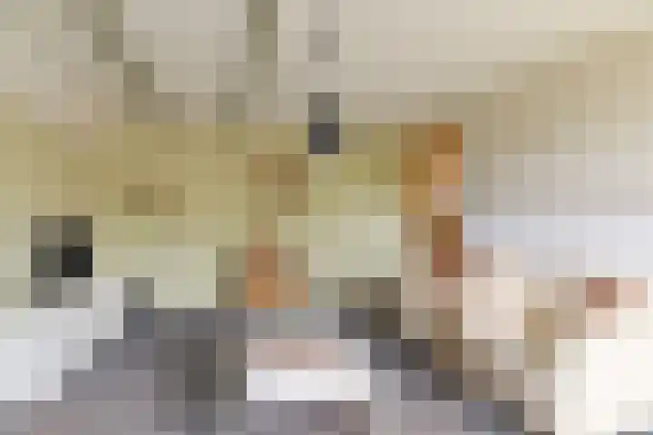 Rooseveltstraat 7 Landgraaf thumbnail 6
