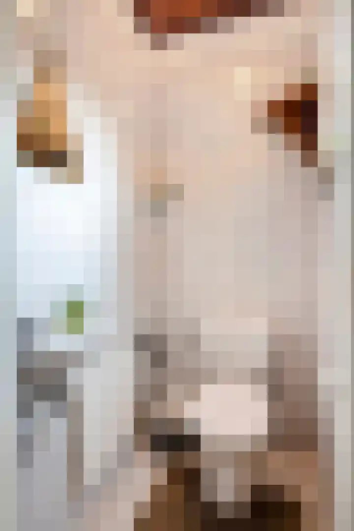 Roosterderweg 20 Susteren thumbnail 16