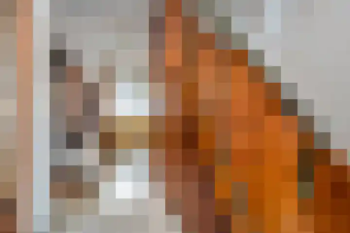 Roosterderweg 20 Susteren thumbnail 7