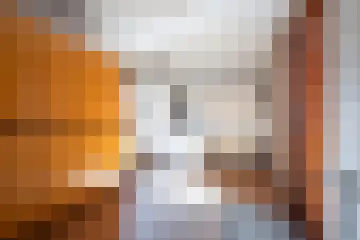 Roosterderweg 25 Susteren thumbnail 13