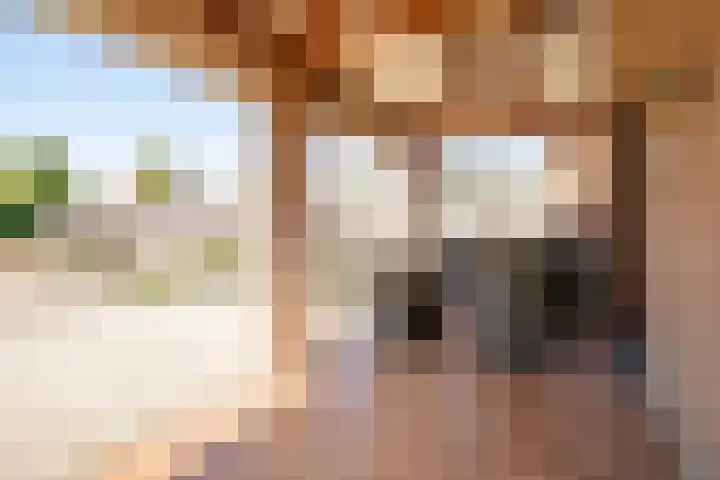 Roosterderweg 25 Susteren thumbnail 22