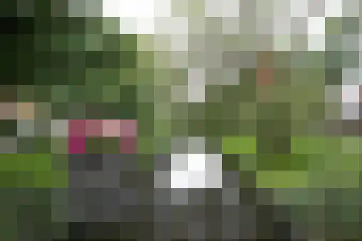 Roosveldstraat 61 Haarlem thumbnail 37