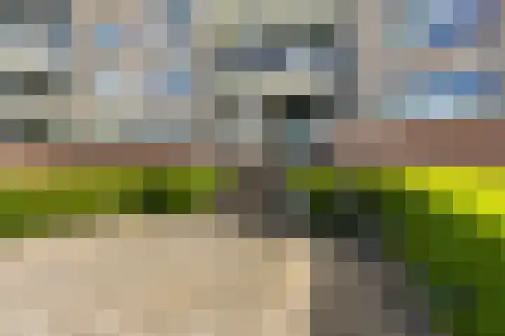 Rooswinkelstate 124 Leeuwarden thumbnail 10