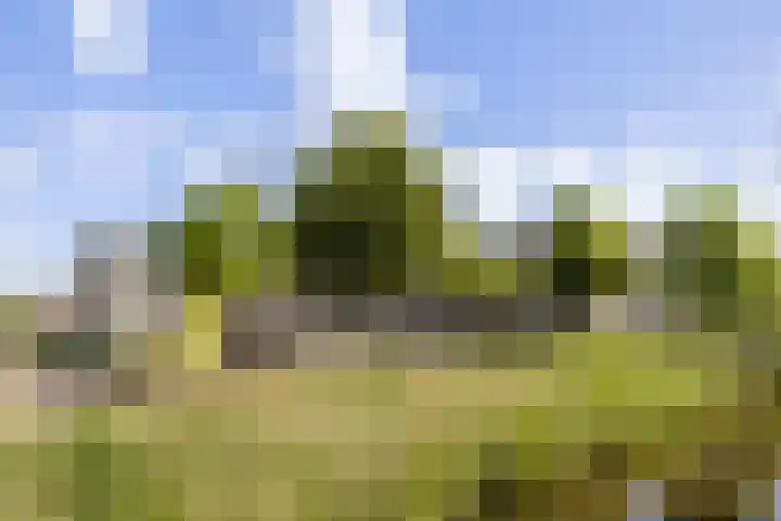 Rooswinkelstate 124 Leeuwarden thumbnail 7