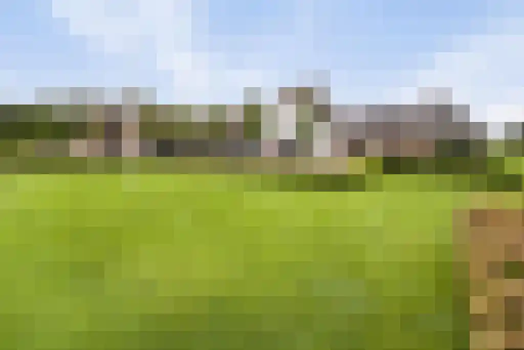 Rootakkers 59 dans Helmond