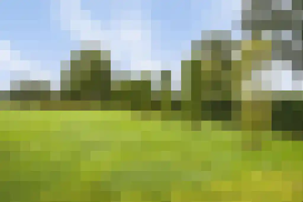 Rootakkers 59 Helmond thumbnail 101