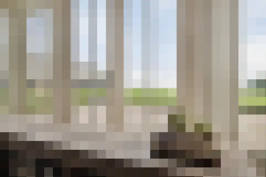Rootakkers 59 Helmond thumbnail 11