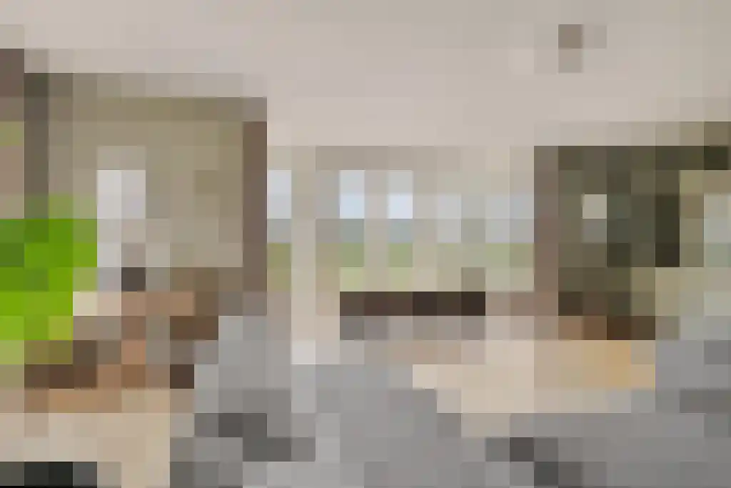 Rootakkers 59 Helmond thumbnail 8