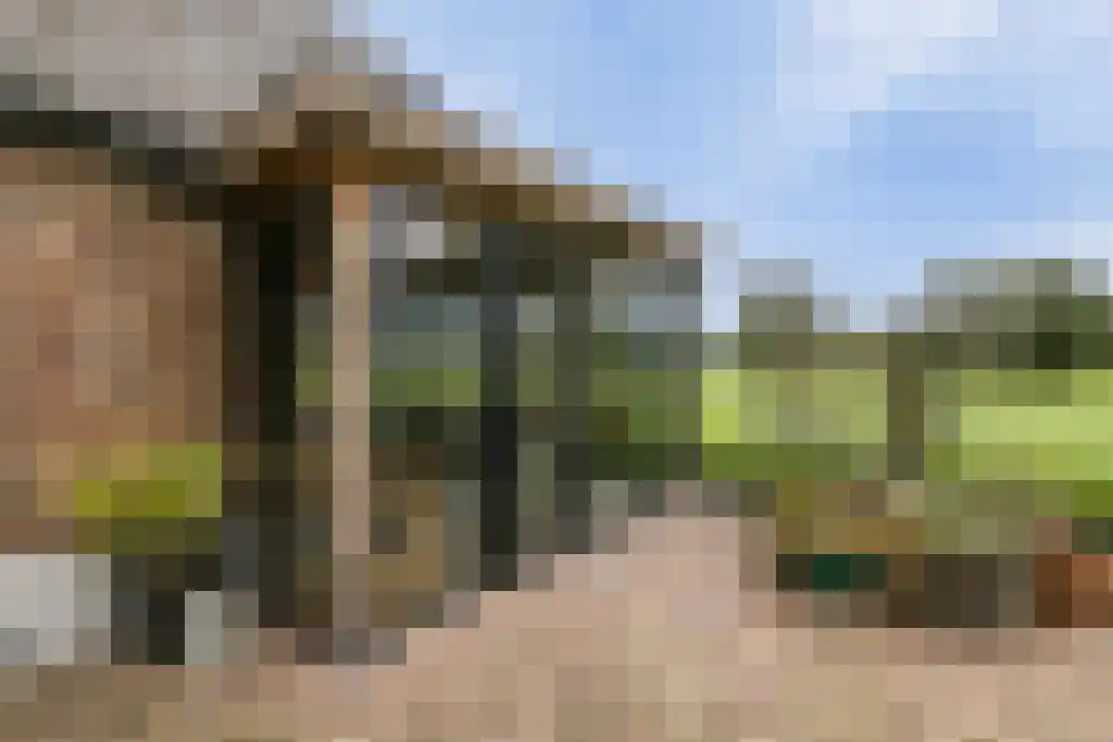 Rootakkers 59 Helmond thumbnail 80