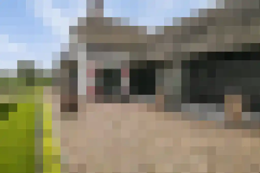 Rootakkers 59 Helmond thumbnail 82