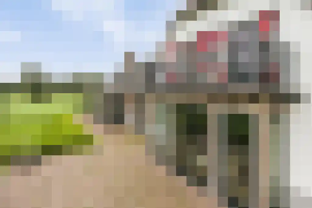 Rootakkers 59 Helmond thumbnail 83