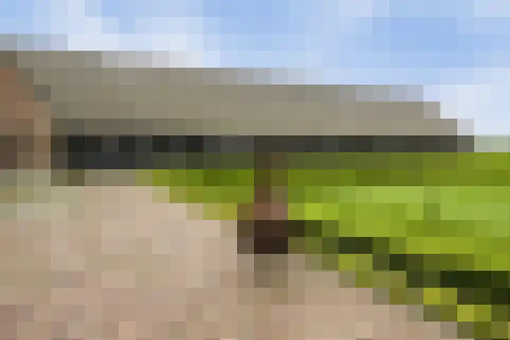Rootakkers 59 Helmond thumbnail 85