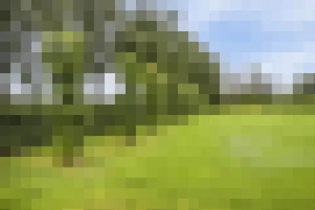 Rootakkers 59 Helmond thumbnail 86