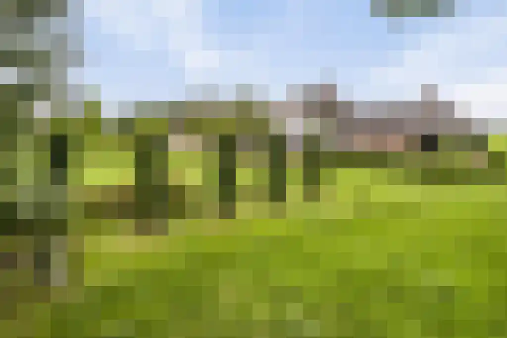Rootakkers 59 Helmond thumbnail 92
