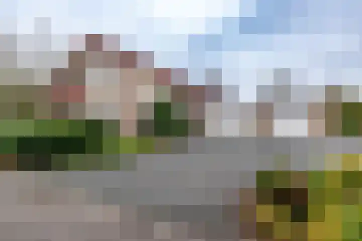 Rootveld 12 in Appingedam