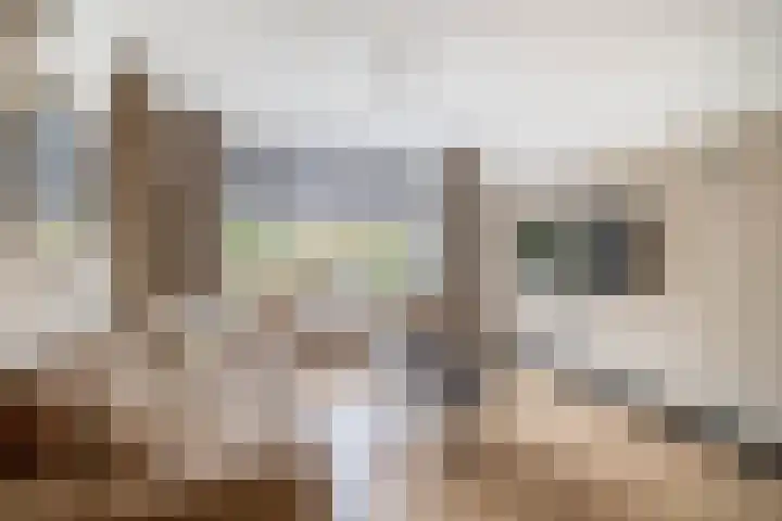 Rootveld 12 Appingedam thumbnail 11