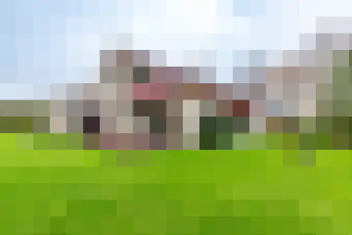 Rootveld 12 Appingedam thumbnail 15