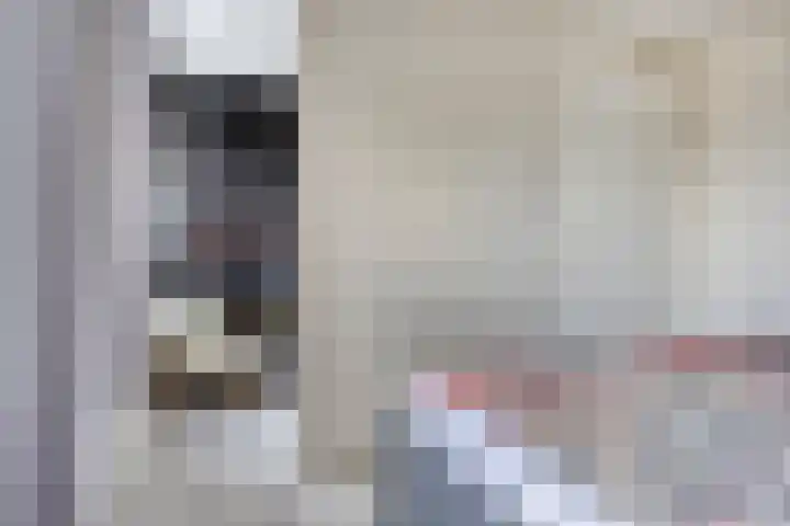 Rootveld 12 Appingedam thumbnail 27