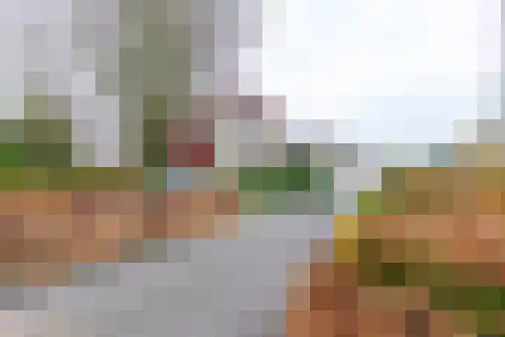 Rootveld 12 Appingedam foto 3