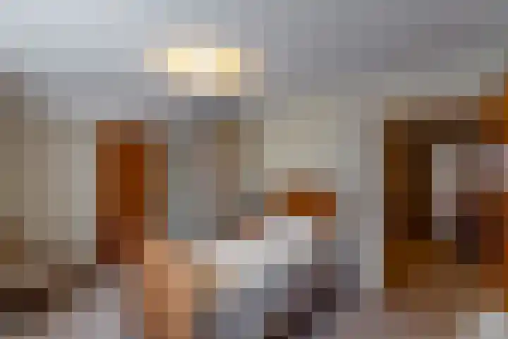 Rootveld 12 Appingedam thumbnail 32