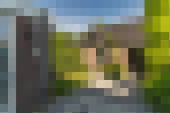 Rootveld 12 Appingedam thumbnail 34