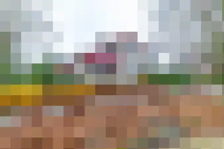 Rootveld 12 Appingedam thumbnail 4