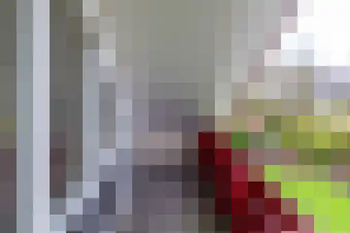 Rootveld 12 Appingedam thumbnail 40