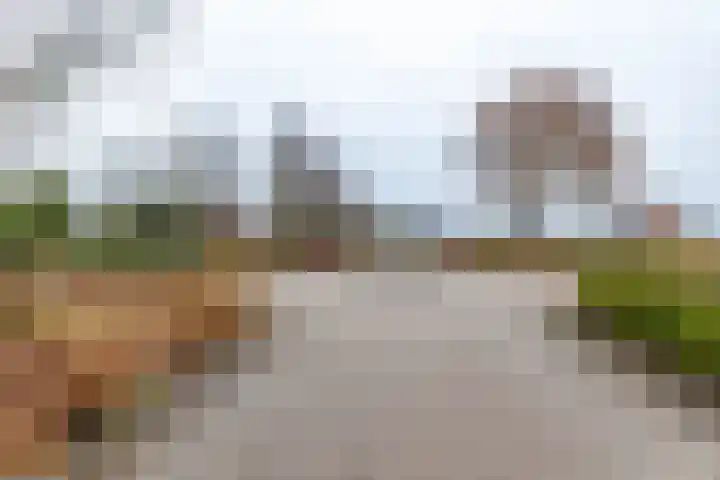 Rootveld 12 Appingedam thumbnail 41