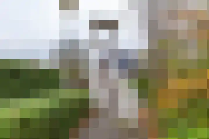 Rootveld 12 Appingedam thumbnail 42