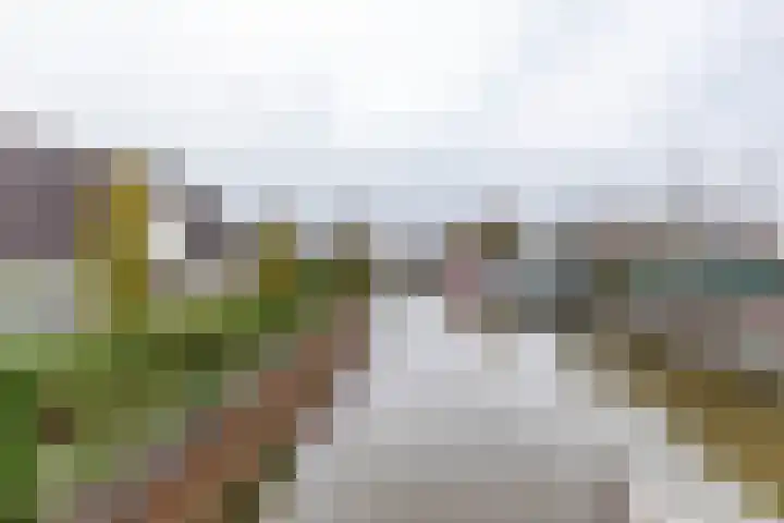 Rootveld 12 Appingedam thumbnail 43