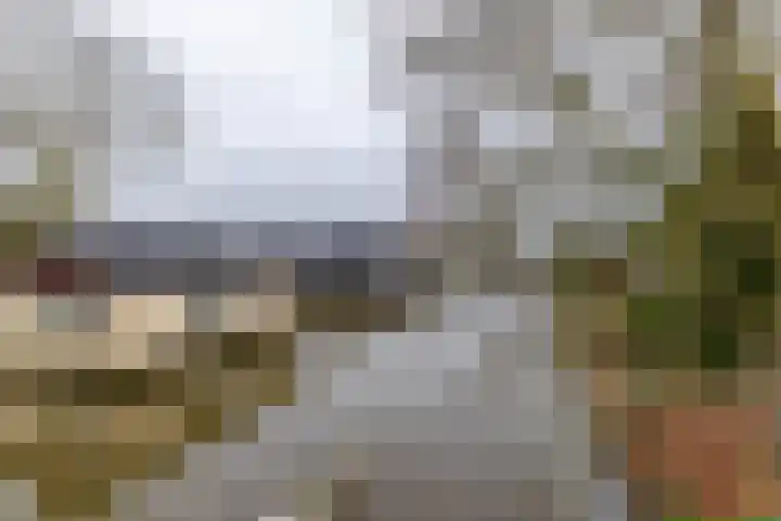 Rootveld 12 Appingedam thumbnail 44