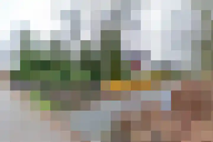 Rootveld 12 Appingedam thumbnail 5