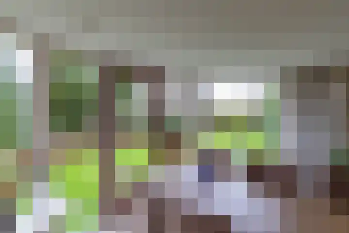 Rootveld 12 Appingedam thumbnail 52