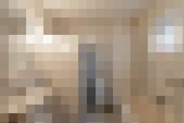 Rootveld 12 Appingedam thumbnail 55