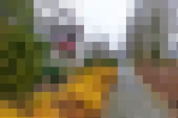 Rootveld 12 Appingedam thumbnail 6