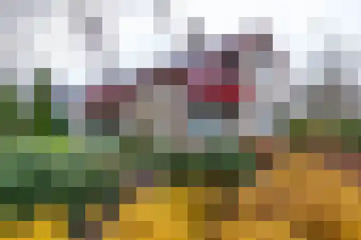 Rootveld 12 Appingedam thumbnail 7