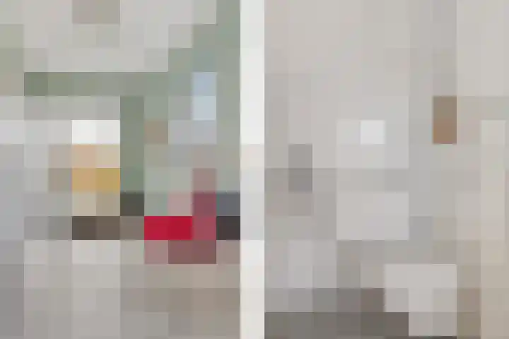 Rootveld 15 Appingedam thumbnail 15