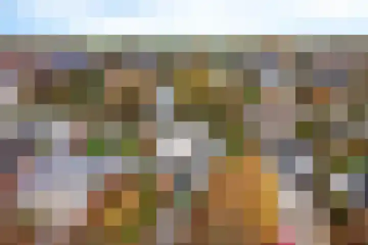 Rootveld 15 Appingedam thumbnail 40