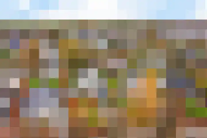 Rootveld 15 Appingedam thumbnail 41