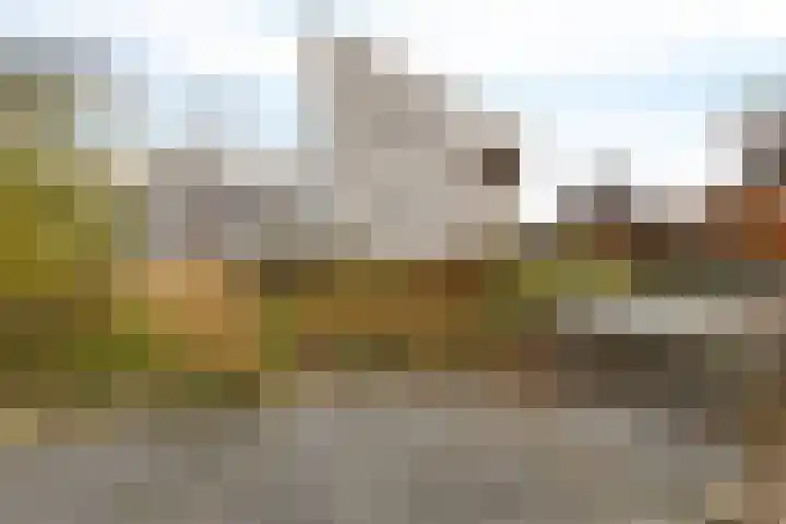 Rootveld 15 Appingedam thumbnail 46