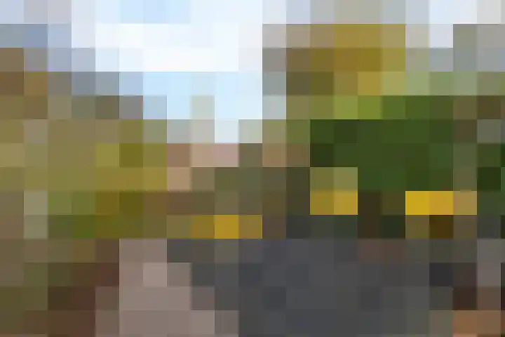 Rootveld 15 Appingedam thumbnail 48