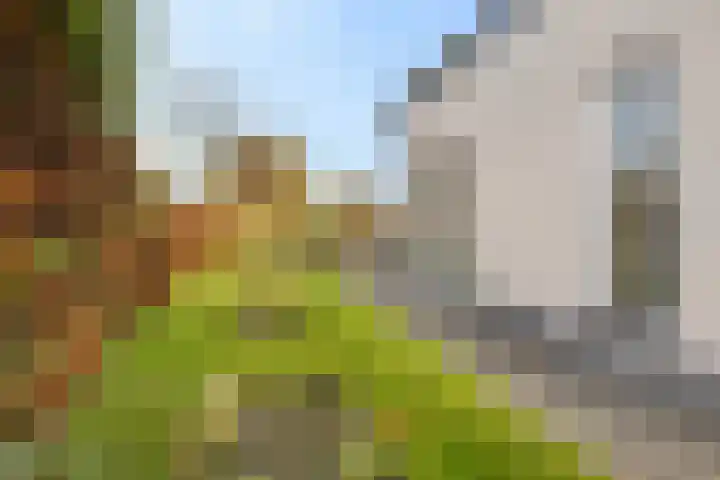 Rootveld 15 Appingedam thumbnail 52