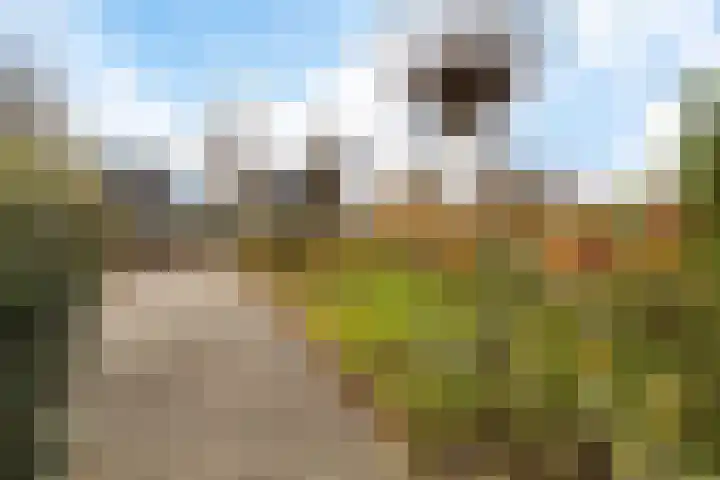 Rootveld 15 Appingedam thumbnail 54