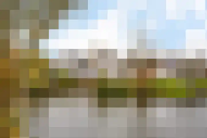 Rootveld 15 Appingedam thumbnail 7