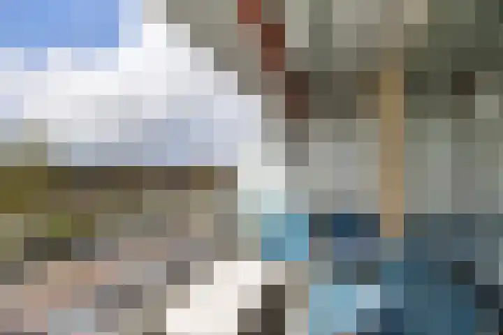 Rootven 47 Moergestel thumbnail 11