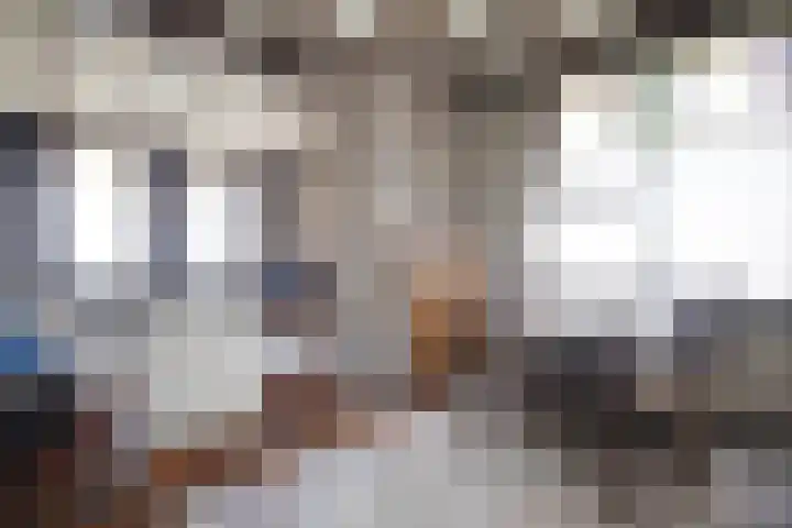 Rootven 47 Moergestel thumbnail 13