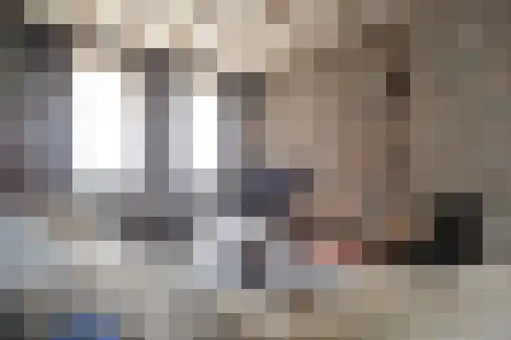 Rootven 47 Moergestel thumbnail 15