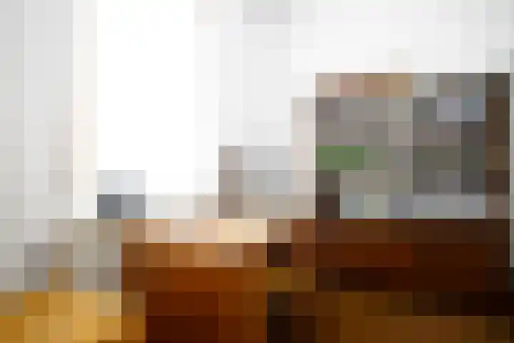 Rootven 47 Moergestel thumbnail 16