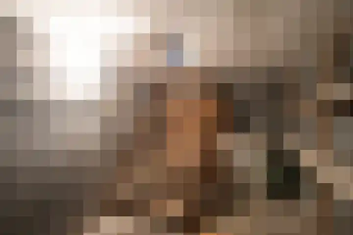 Rootven 47 Moergestel thumbnail 17